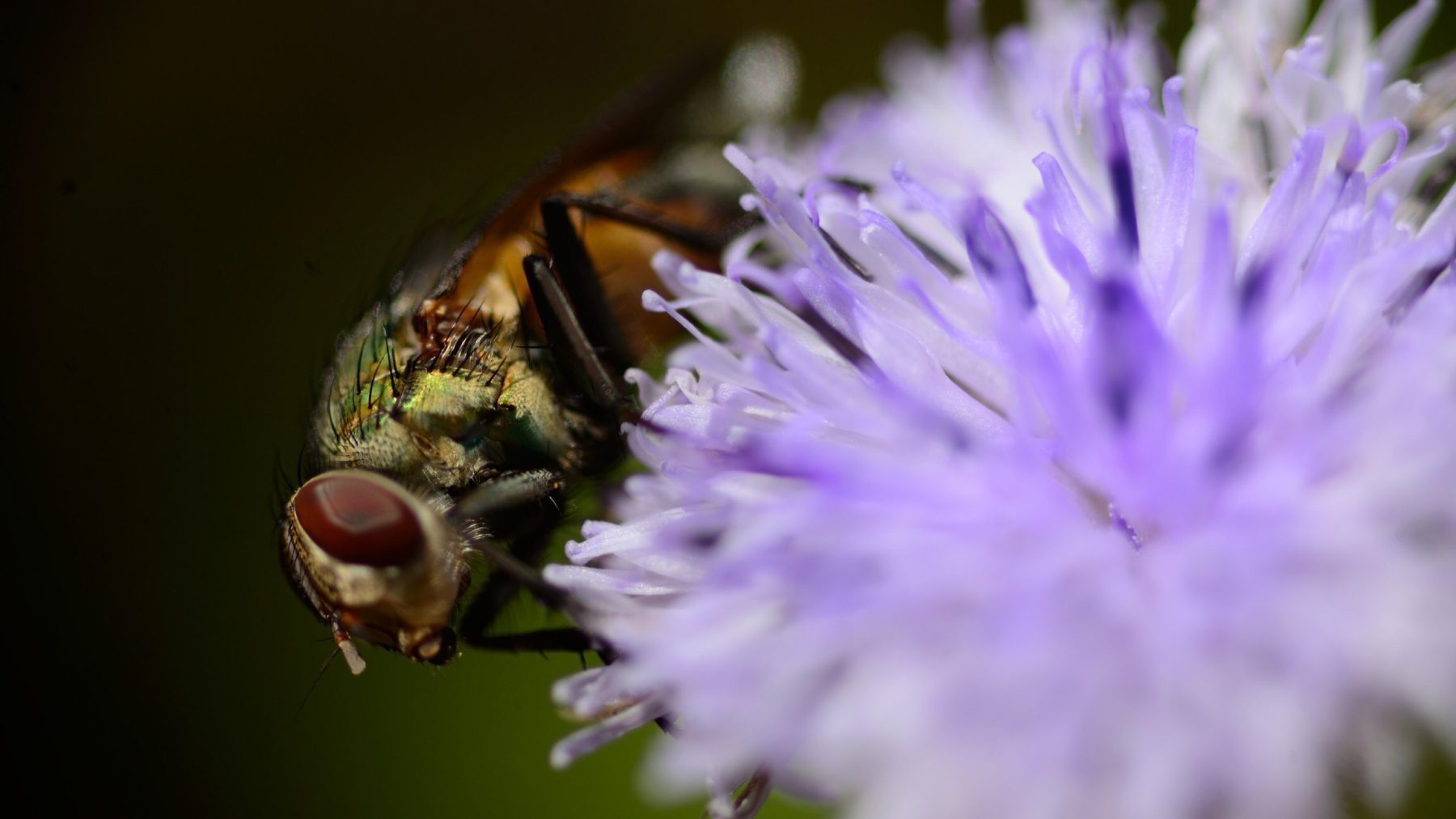 what-is-exif-metadata-in-photography-snap-snails